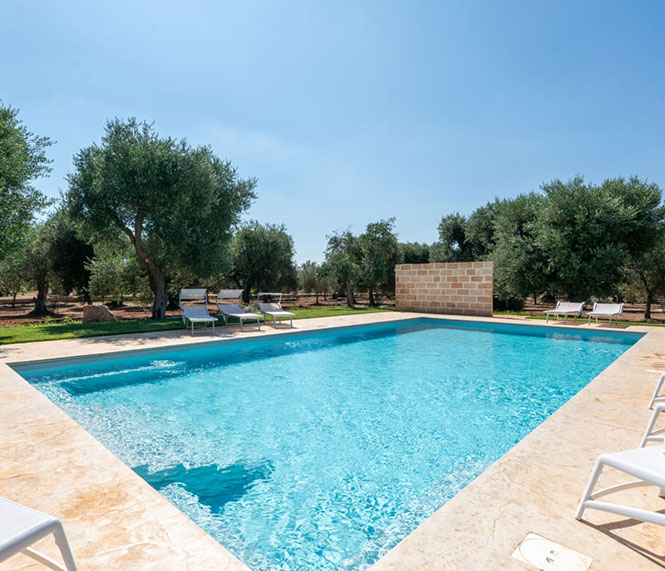 Piscina di 80 mq – relax e divertimento per tutti Image